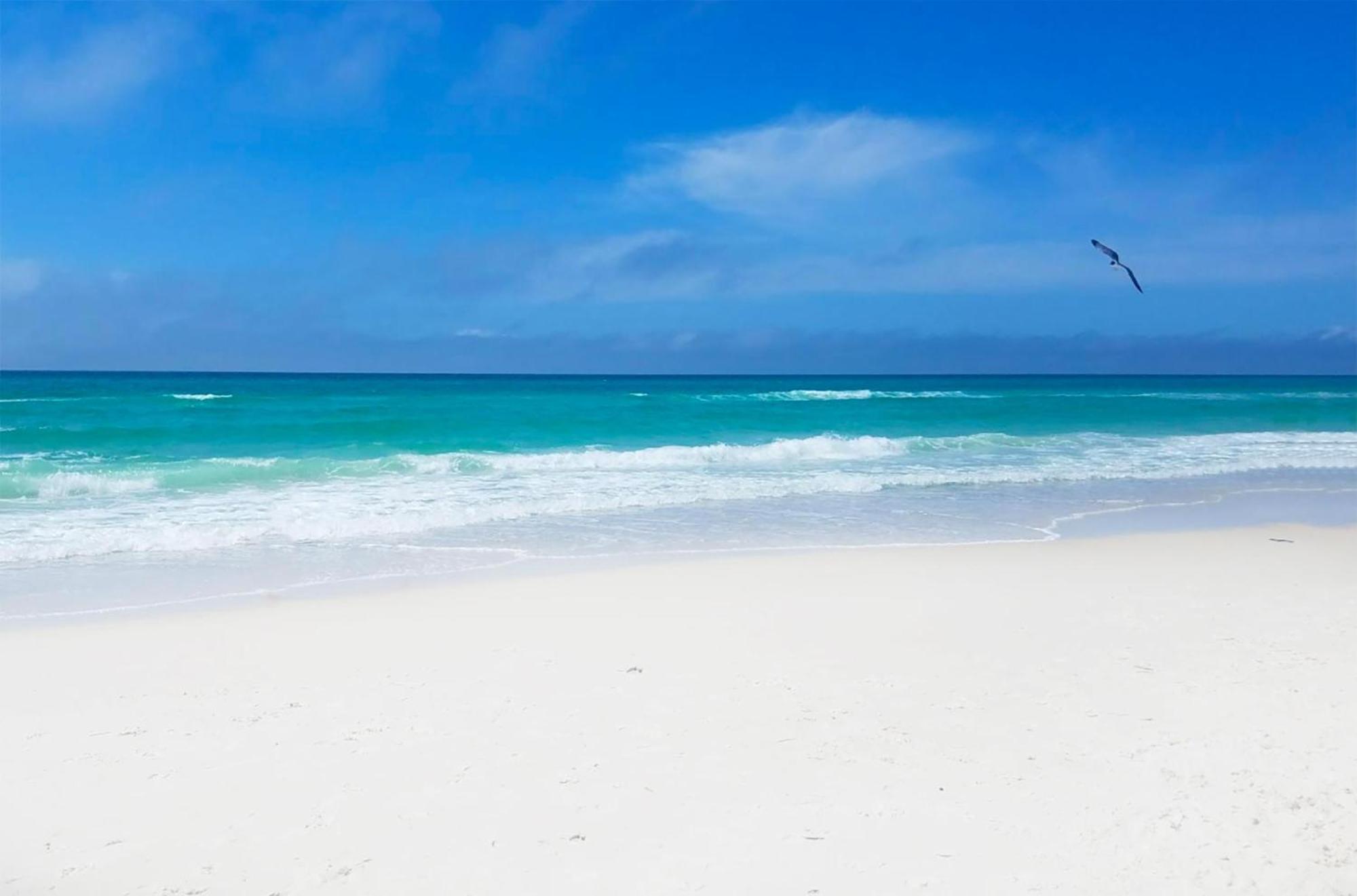 Tidewater 1810 Panama City Beach